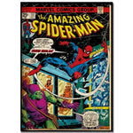 Vintage Marvel Spiderman Canvas Wall Art